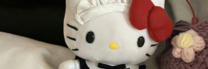 Anuiiii banner