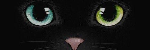 cecicolman's profile banner image