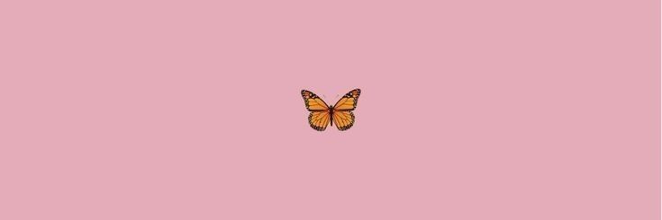 Amoraa98's profile banner image