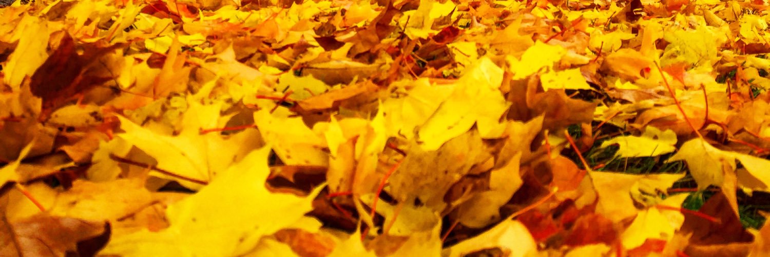 KTrevor's profile banner image