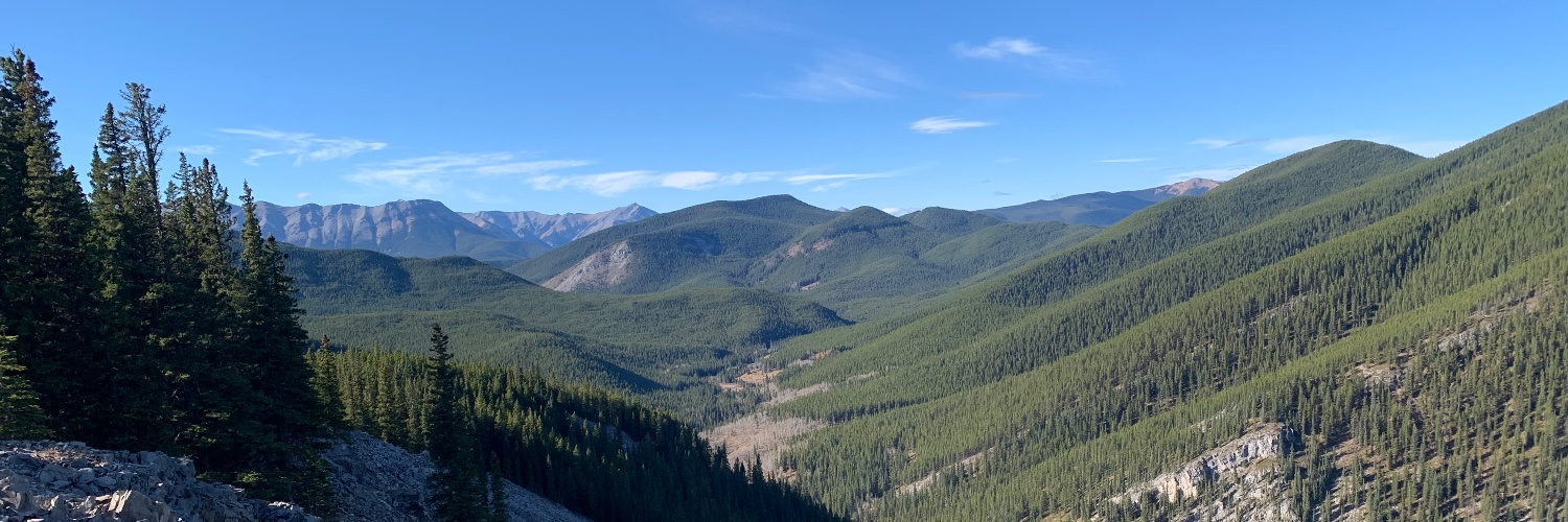 Andrew Cunningham banner