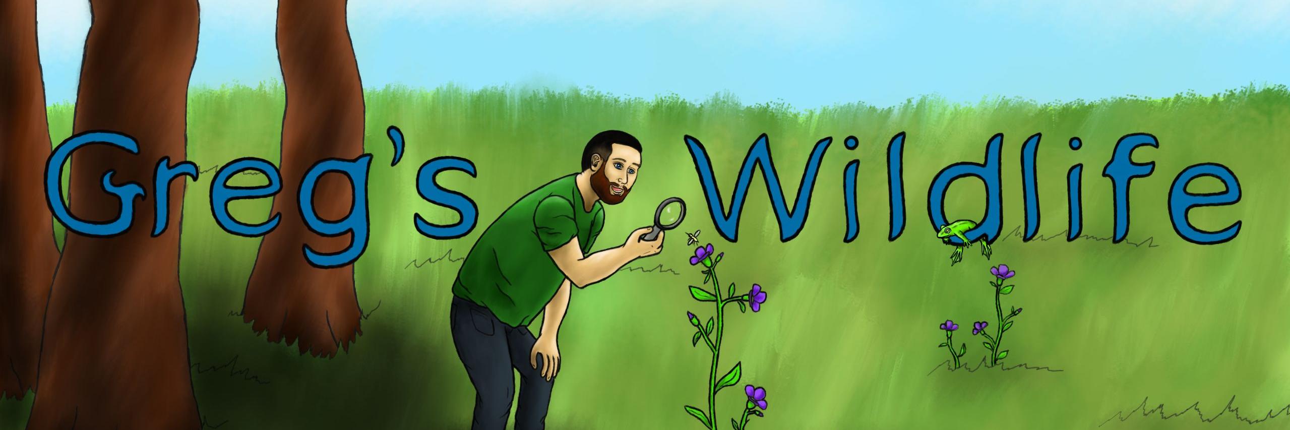 WildlifeGreg's profile banner image
