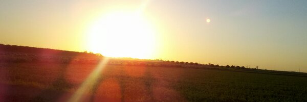 theTechsMeow Profile Banner