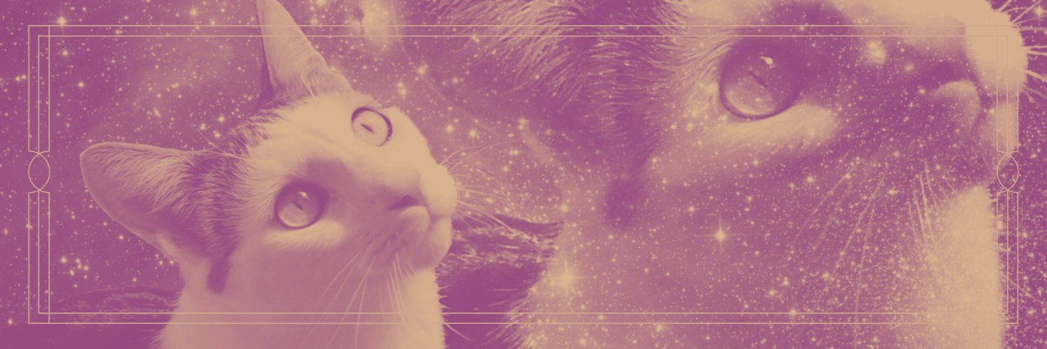 darlingdebris's profile banner image