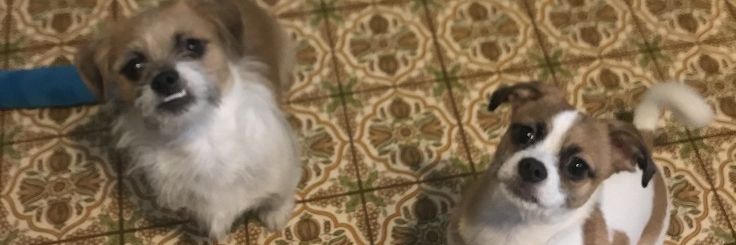 _alyssa_418's profile banner image
