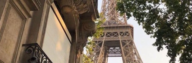 Cyberella🕊 banner