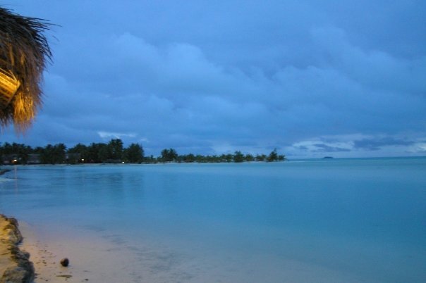 Kennet Fischer banner