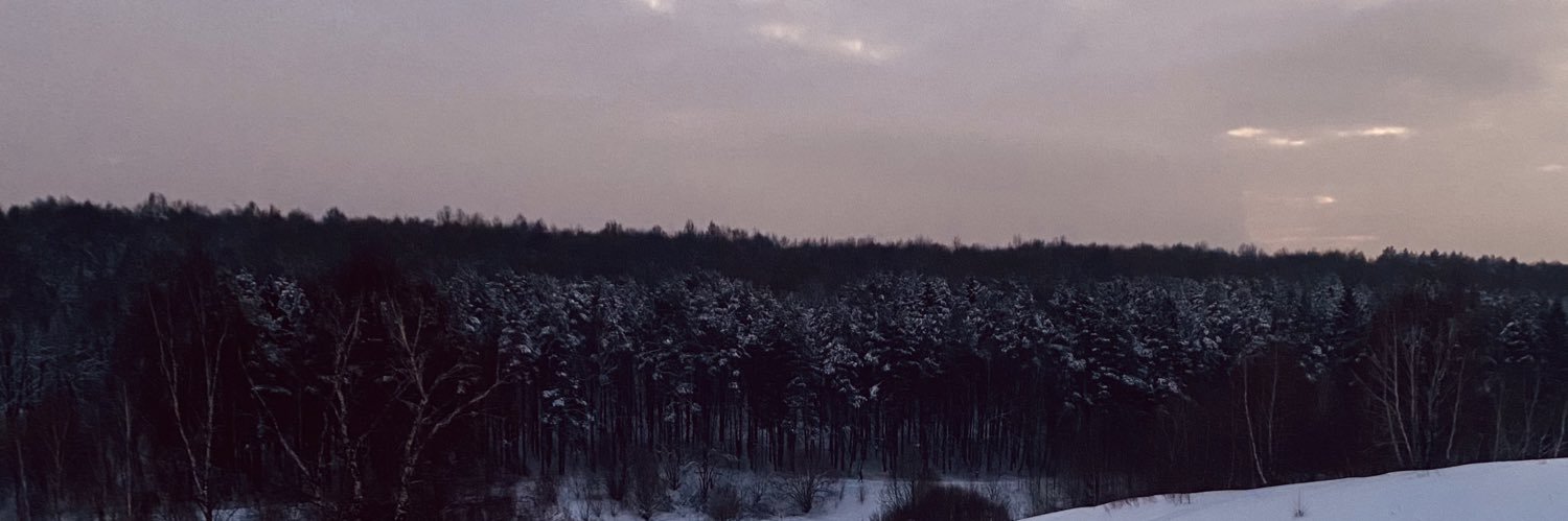 Li_TipTop's profile banner image