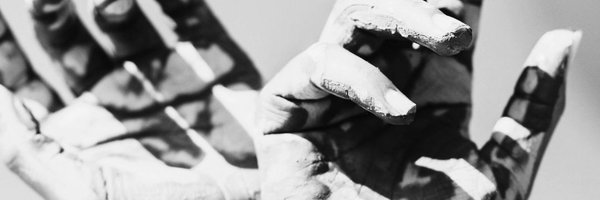 PAPS_Lit_Mag Profile Banner