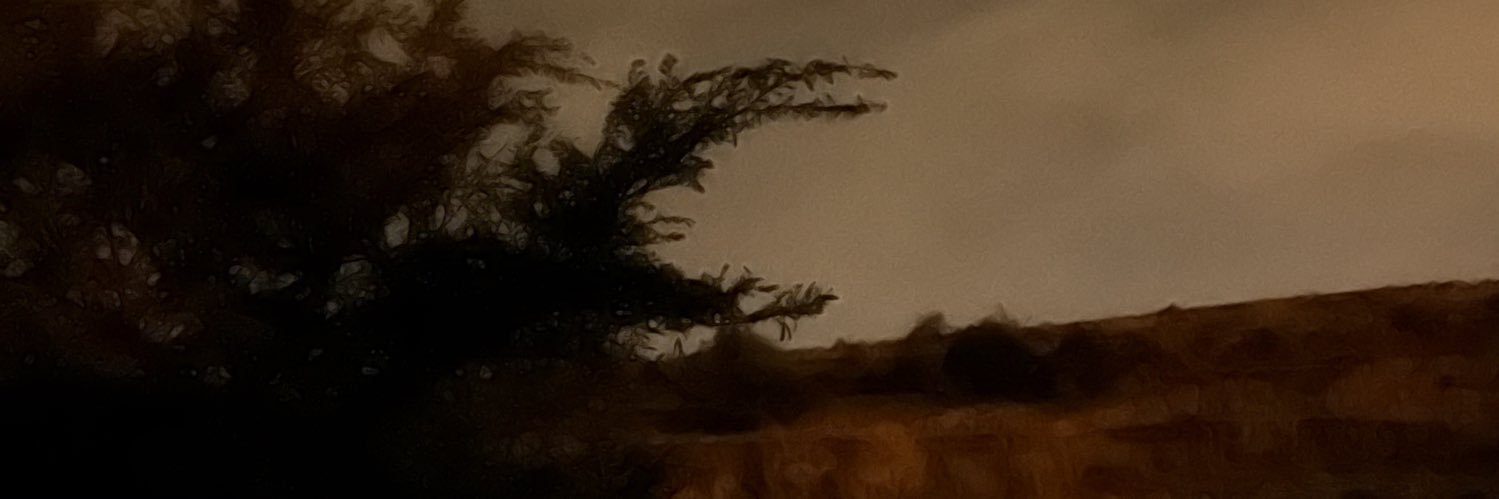 عبد الرحمن بن محمد banner