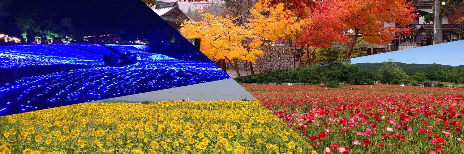 F904idocomo's profile banner image