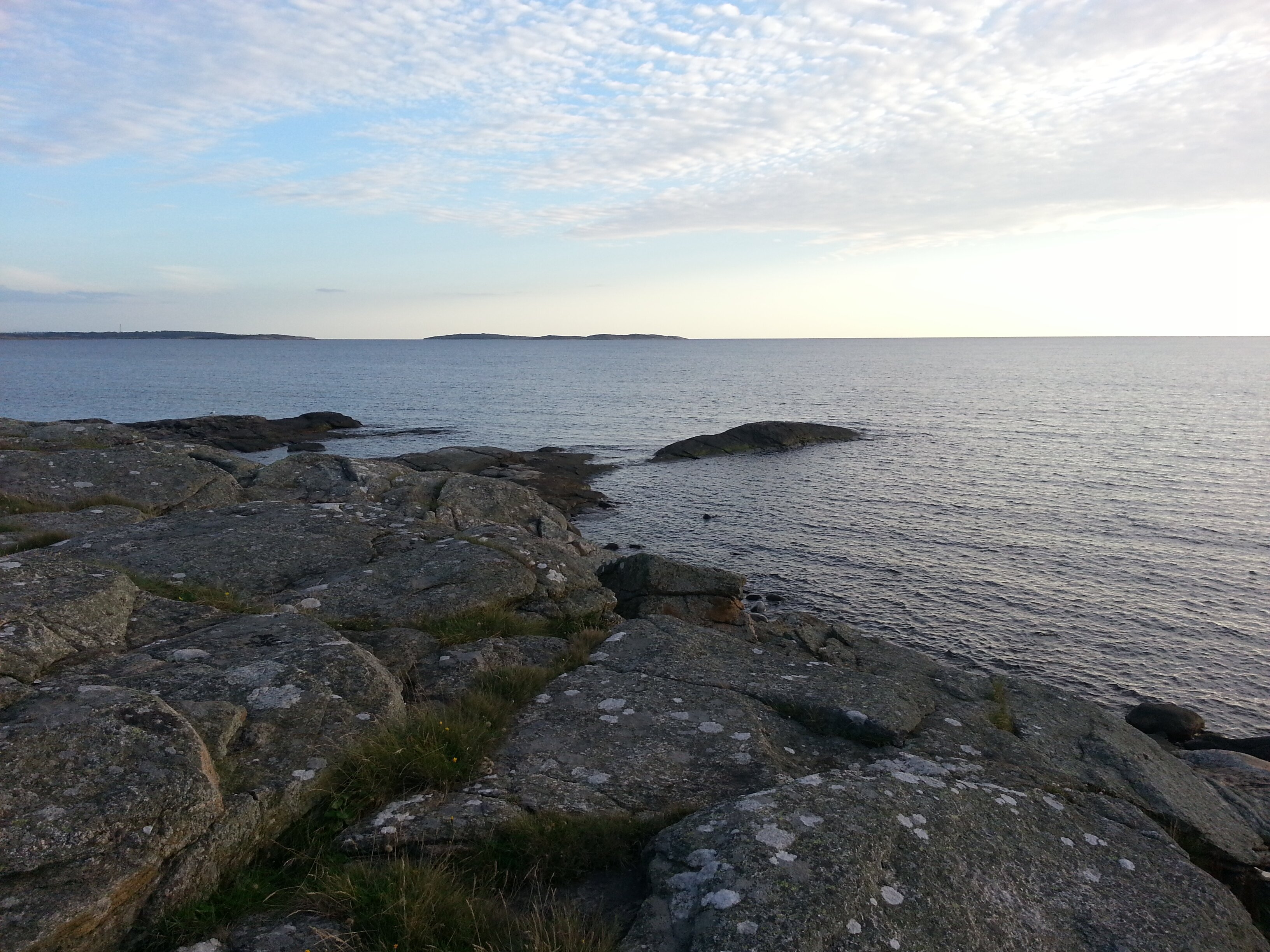 Renée Flacking banner