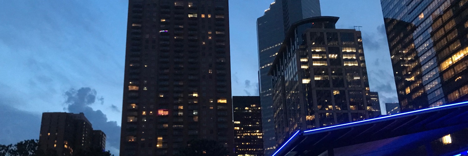 L4rios_'s profile banner image