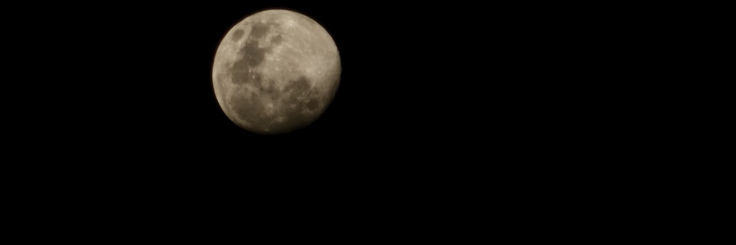 TamaraPesse's profile banner image