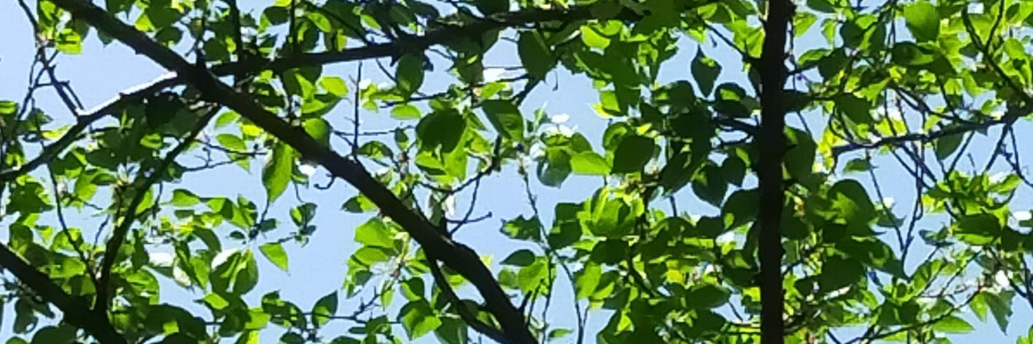 hspk99's profile banner image
