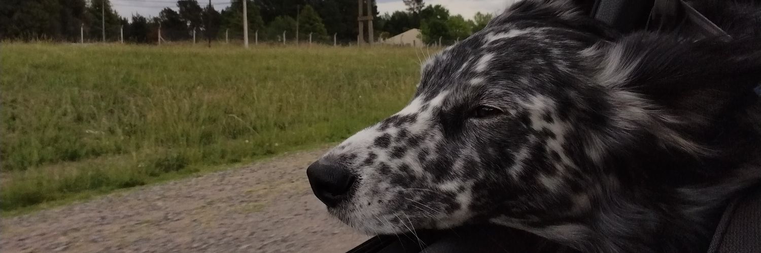 AS_schuft's profile banner image