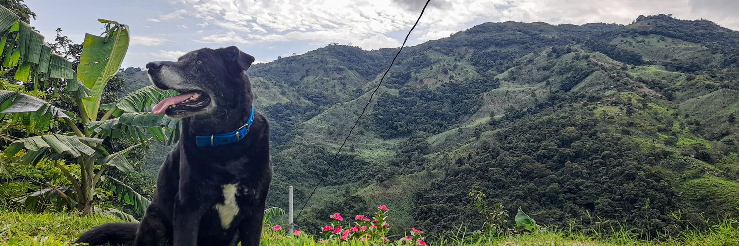 seerge23's profile banner image