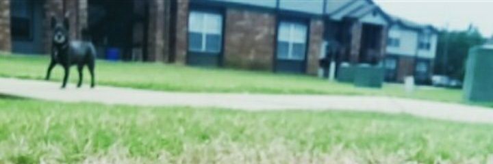DiamondBaldwin2's profile banner image