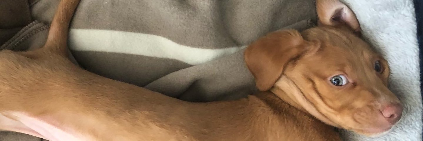 Lulú Grier🤙🏼 banner