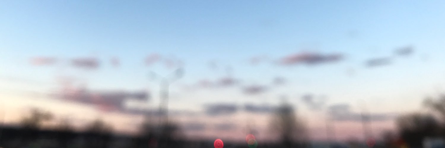 AlinaMagadeeva's profile banner image