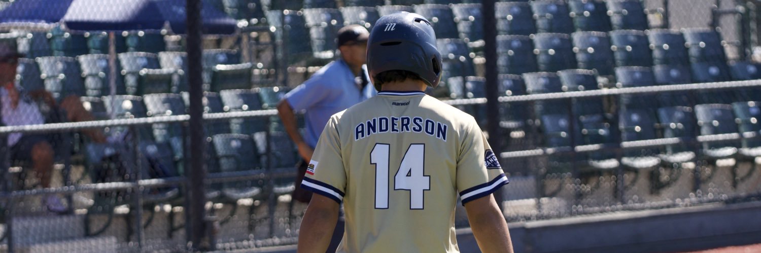 Maxx Anderson banner