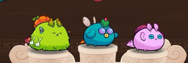 Wenzersem's profile banner image
