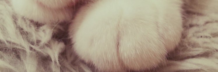 nob6m9yoj's profile banner image