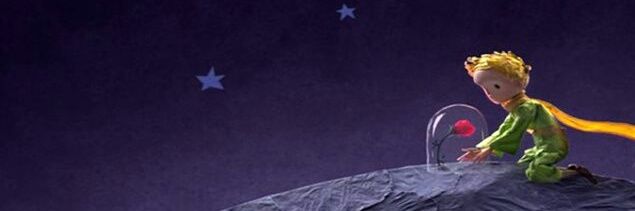 ava banner