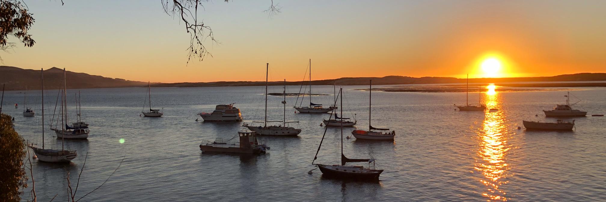 Marie Griffith banner