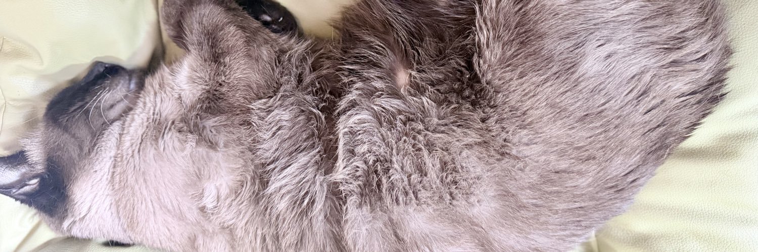 jporn01's profile banner image