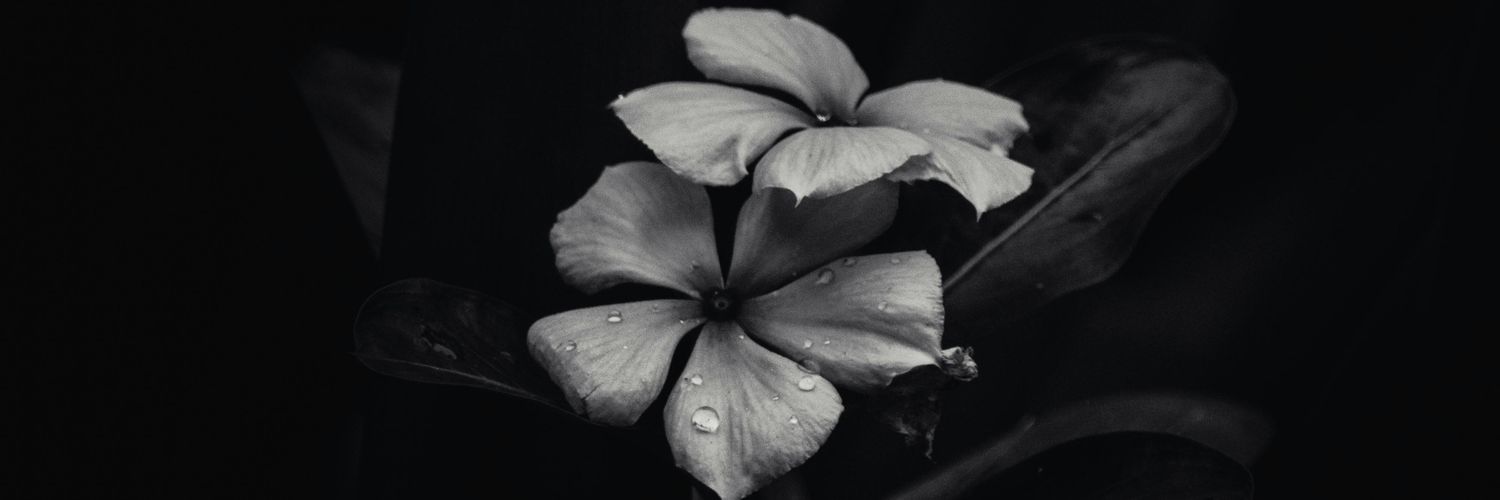 divv.dev (Divinne) banner