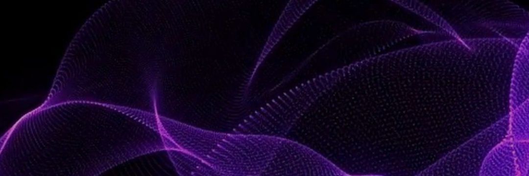 NH banner