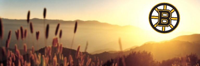 bruinstalk101's profile banner image
