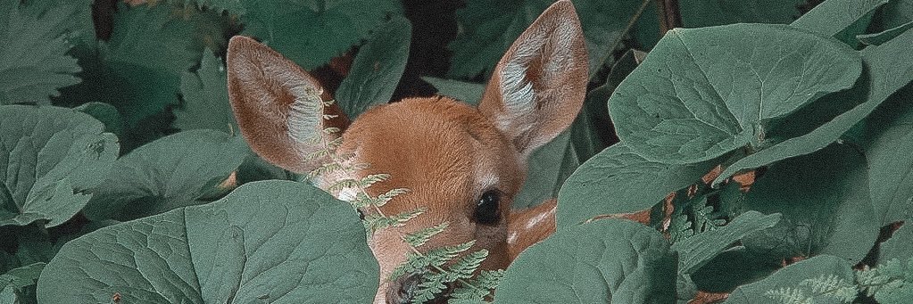 سؤال وإجابة banner