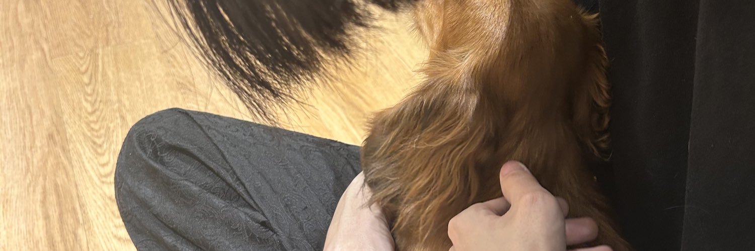 🐈‍⬛ banner