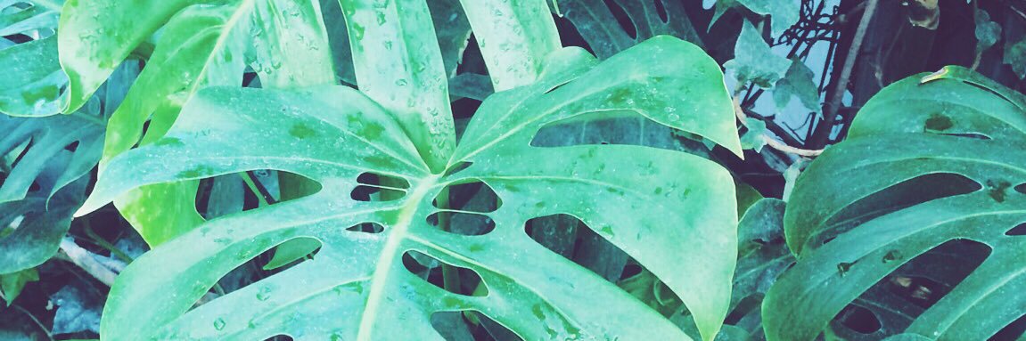 ashley__bruner's profile banner image