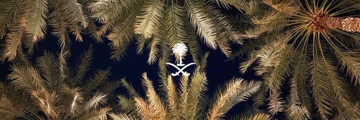 viik_o's profile banner image
