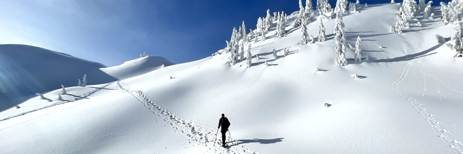 tallbrewer's profile banner image