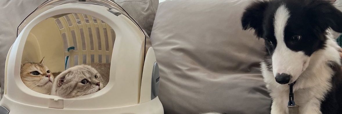 Achtna_'s profile banner image