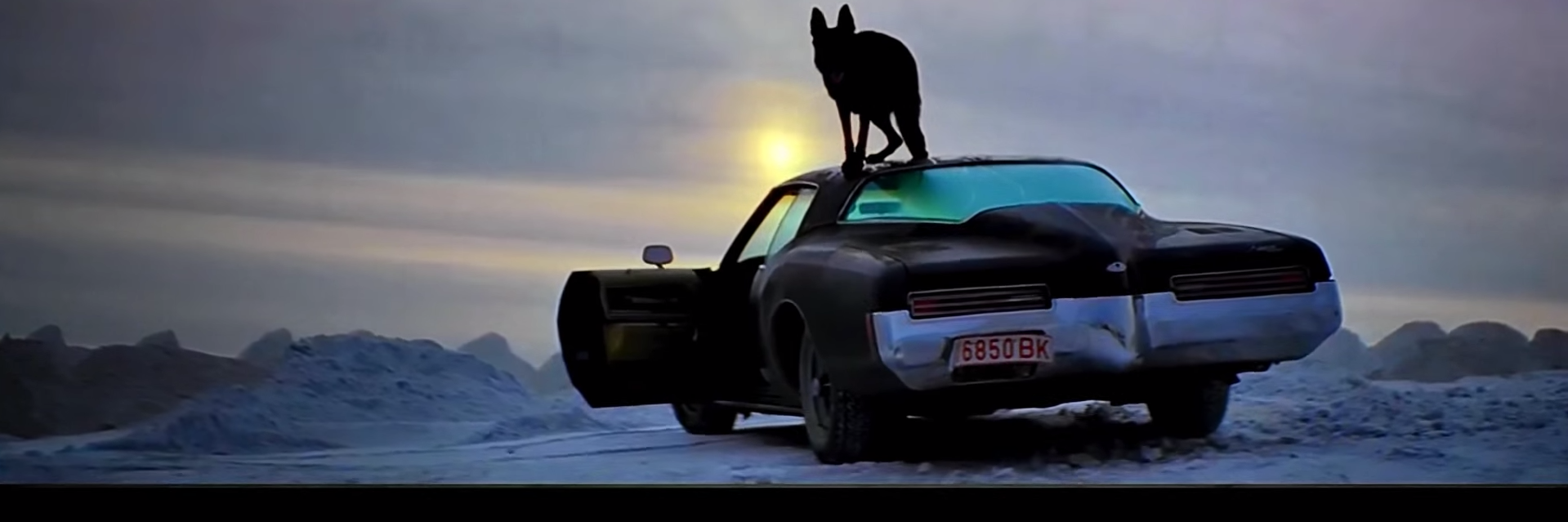 robiscjuan's profile banner image