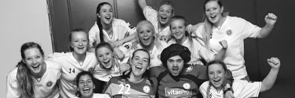 AnneSofiesmaa's profile banner image