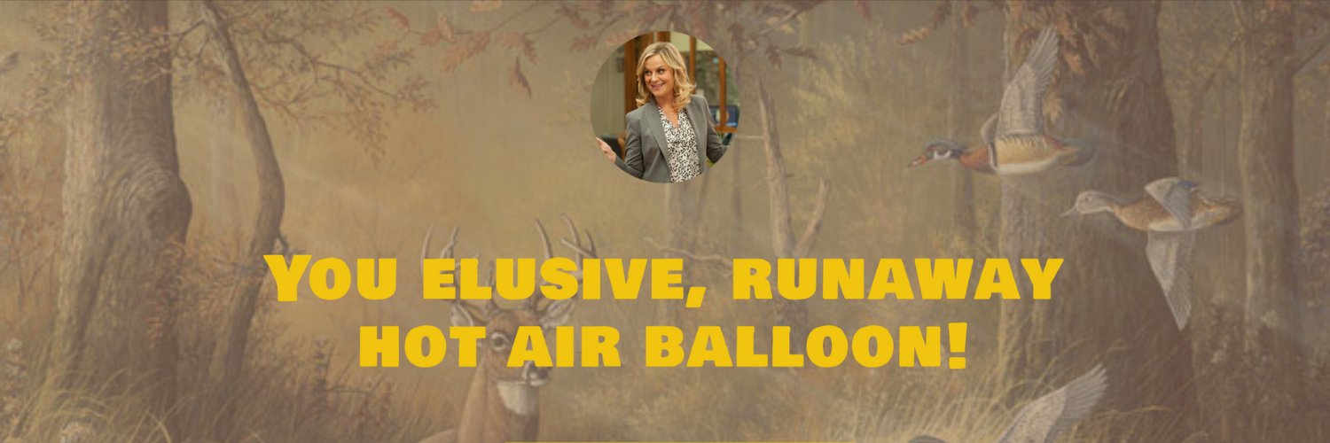 BrandyColmer's profile banner image
