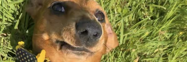 BevyBTweeting Profile Banner