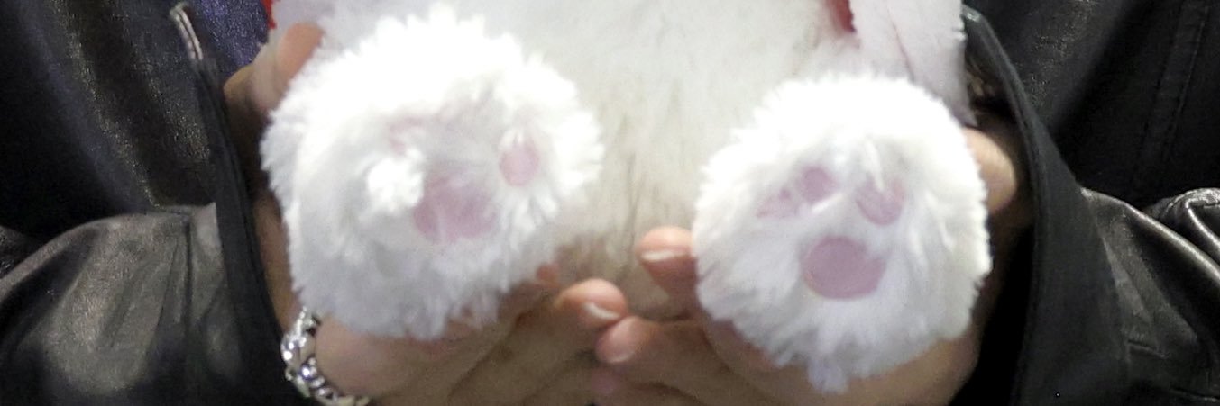 🐰🎀 banner