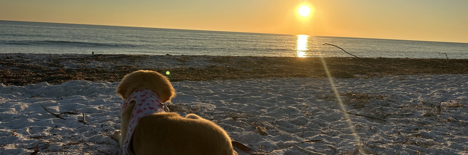 thirdeyedoc's profile banner image