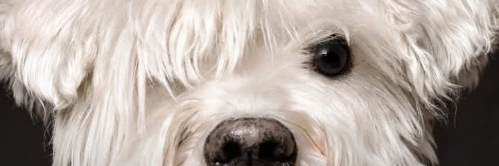 GiyiVery's profile banner image