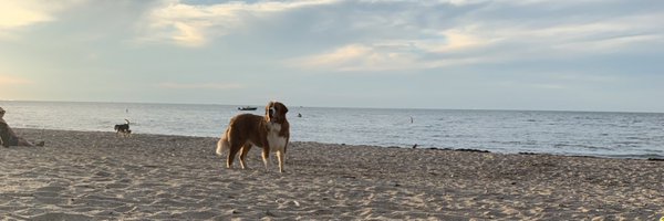 hailey_n_miller Profile Banner