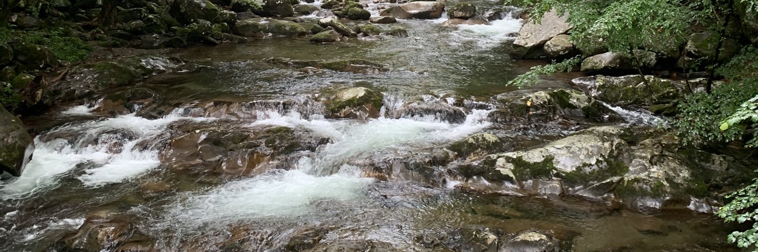 Michael D. Graves banner