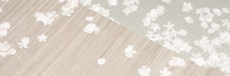 atinybmi's profile banner image