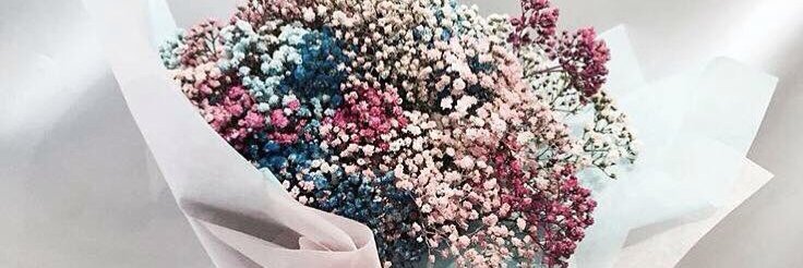 _____meyy's profile banner image